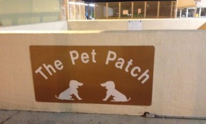 Pet Patch Skyharbor